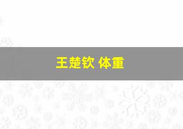 王楚钦 体重